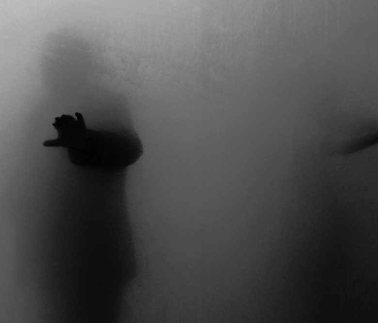 %alireza rashidi data science%