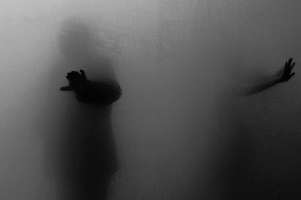 %alireza rashidi data science%